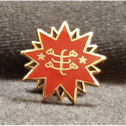 Pin's étoile & signe