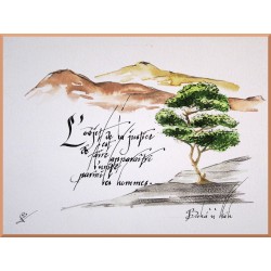 Calligraphie - C43 -...