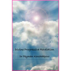 Divine progressive revelation