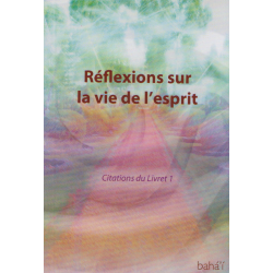 Citations Livre 1 Reflexions Sur La Vie De L Esprit