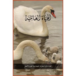 La vie familiale arabe/anglais