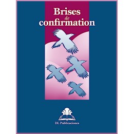 Ruhi - Préjeunes - Brises de confirmation