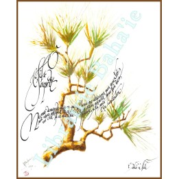 Calligraphie - C11 - 'Ô fils de l'esprit ! Ne me demande pas